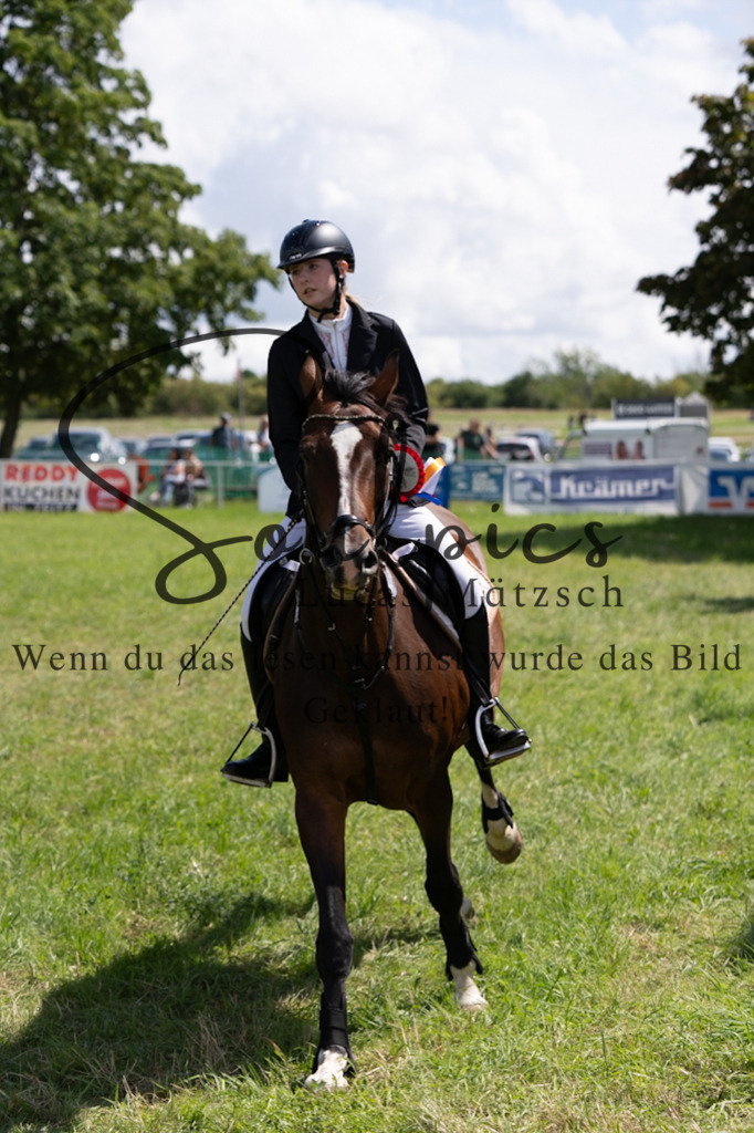 A7V04401 | Turnier/Reitfotograf