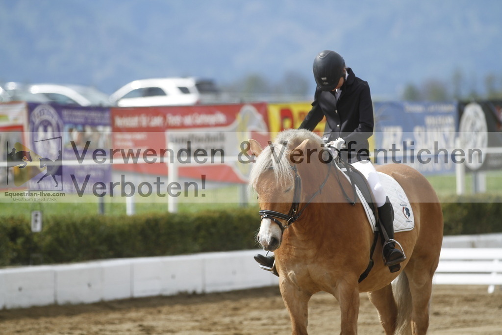 _MG_2766 | equestrian-live-com
