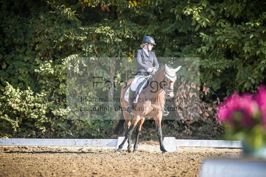 DOS_0968 | Entdecke hochwertige Reitturnierfotos von Foto Oger. Professionell, emotional und authentisch – jetzt Lieblingsmomente im Shop bestellen.Deutschlandweite Turnierfotografie. - Realisiert mit Pictrs.com