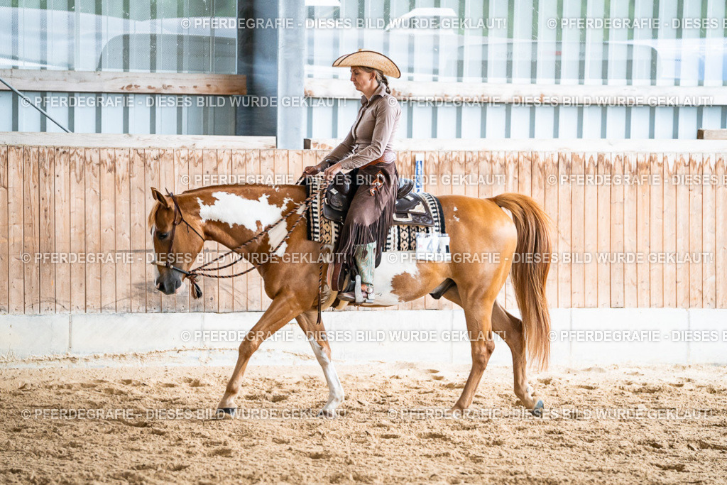 DSC00093 | Pferdegrafie