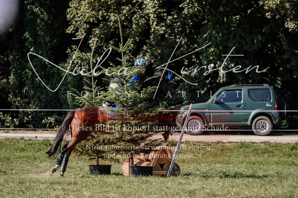 DSC_3100 | Pferde- und Turnierfotografie in Westsachsen. Pferdeportraits, Auftragszeichnungen und intuitive Kunst.