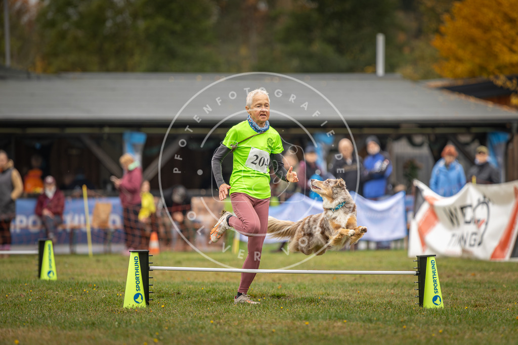 Pfotenfotografie_DV3A1687 | Hundefotografie, Tierfotograf, Pfotenfotografie, Fotoshooting Hund, Hunde Portrait, Hundesport, Hundeportraits, Heideshooting, Hunde, Sportfotograf, Hundefotograf, Turnierhundsport, THS,  - Realisiert mit Pictrs.com