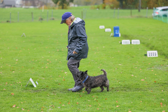 2025_Rally_Obedience_SM-20 | Ich fotografiere Hundeausstellungen, Sportanlässe, Zuchtstätten, Hundezucht, Hundeportrait, Lagotto - Realisiert mit Pictrs.com