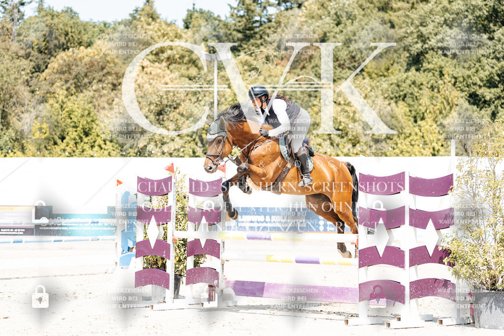 CK901085 | Turnierfotografie Pferdefotografie Trier Rheinland-Pfalz Pferdesport Reitsport Tierfotografie Sportfotografie Pferdevideo Pferdevideografie Equestrianvideography equestrianphotography  - Realisiert mit Pictrs.com