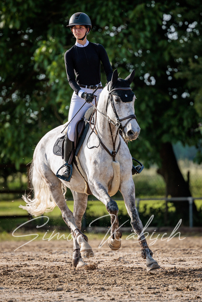 20260529-_3LI0851 | Tierfotografie Pferde, Hunde, Katzen, Haustiere.
Turnierfotografie Reitturniere, Reiten, Springreiten, Dressur in Hanau, dem Main-Kinzig-Kreis und dem Rhein-Main- Gebiet um Frankfurt