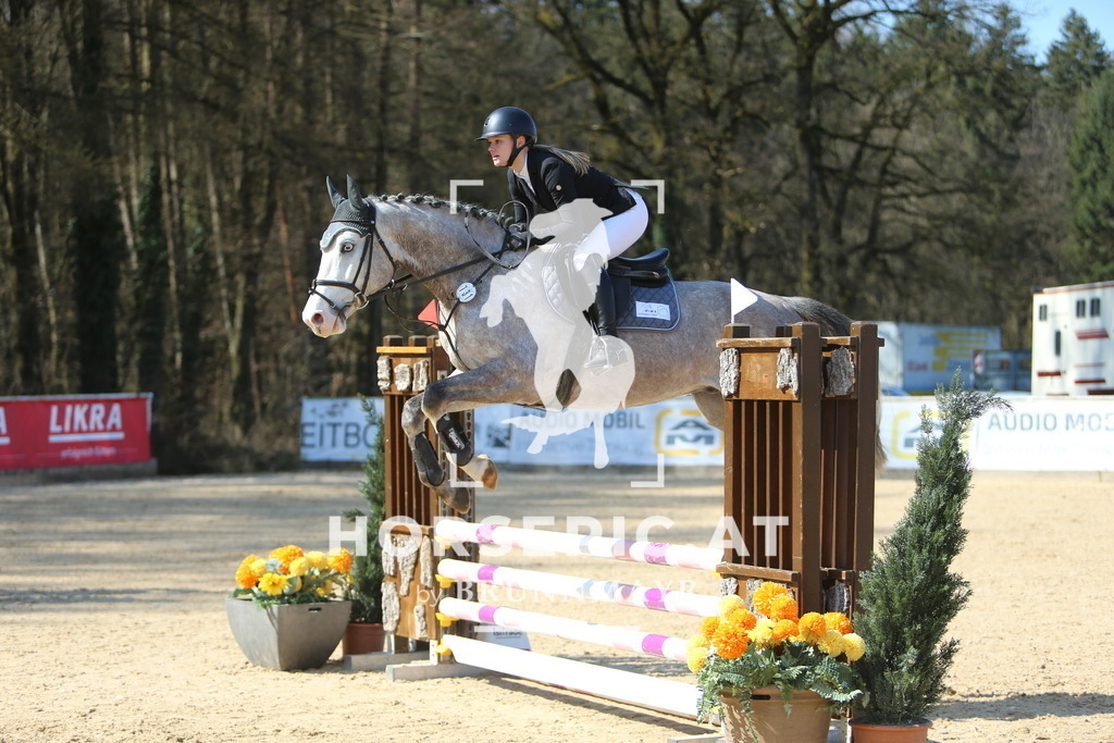 DL2Q2729 | Willkommen bei Brunnmayr - Design & Fotografie – Ihrem Spezialisten für Reitturniere und Pferdeveranstaltungen in Oberösterreich, Salzburg und Bayern! Seit über 17 Jahren sind wir leidenschaftlich dabei.