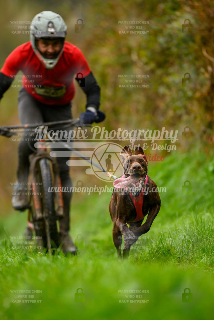 MompixPhotography_20TSB_E8_Bike-49 | PayLife
