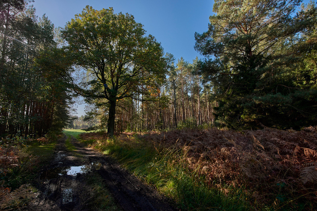 Bei den Schlottenwiesen 01 | Bedeutsame Landschaften Deutschlands - Realisiert mit Pictrs.com
