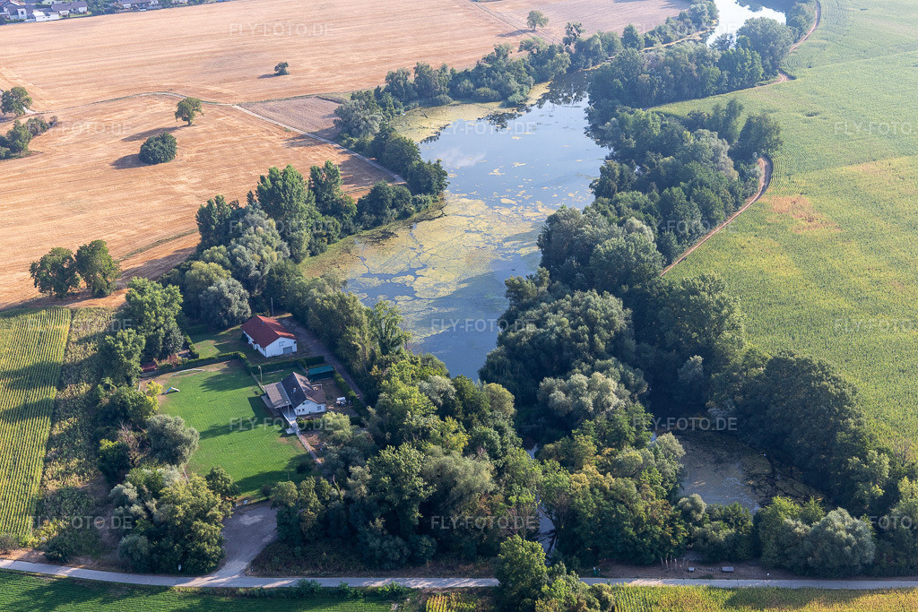 Luftbild: Verein für Hundesport e.V. am Fischmal in Leimersheim im Bundesland Rheinland-Pfalz in Deutschland. Foto: IMG_122180.jpg vom 11.08.2020 durch Werner Riehm/FLY-FOTO.de