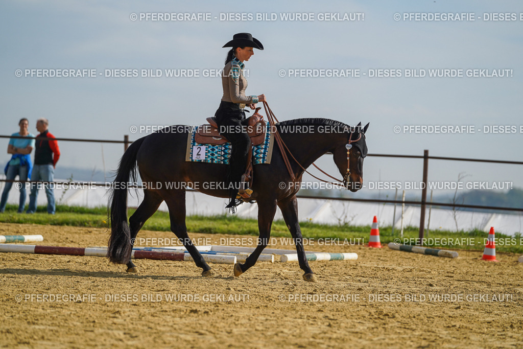 DSC01323 | Pferdegrafie