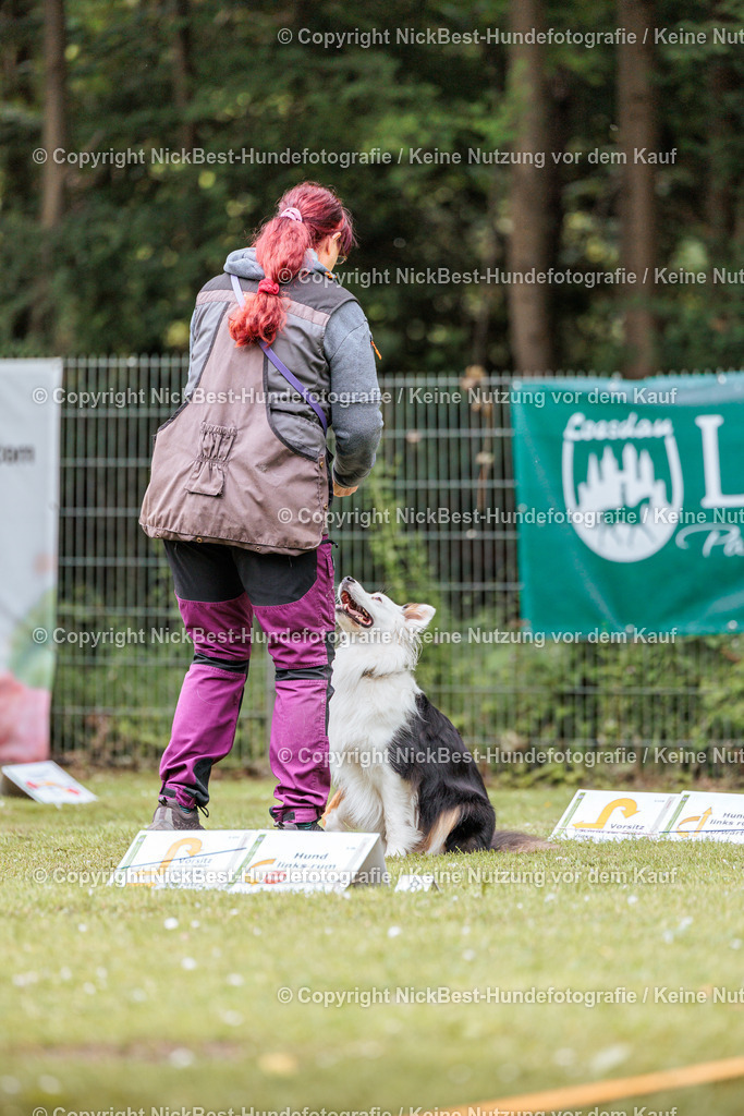 RO-Blumenthal-2026-Nickbest-Hundefotografie-3081 | Dein Hund! Dein Moment! Deine Erinnerungen! Hundefotografie in Bremen Blumenthal. Ich fange die besonderen Momente deines Vierbeiners ein – ob Indoor mit Blitzanlage oder in der freien Natur. Sicher dir dein Moment und dein Termin für eure Erinnerungen.