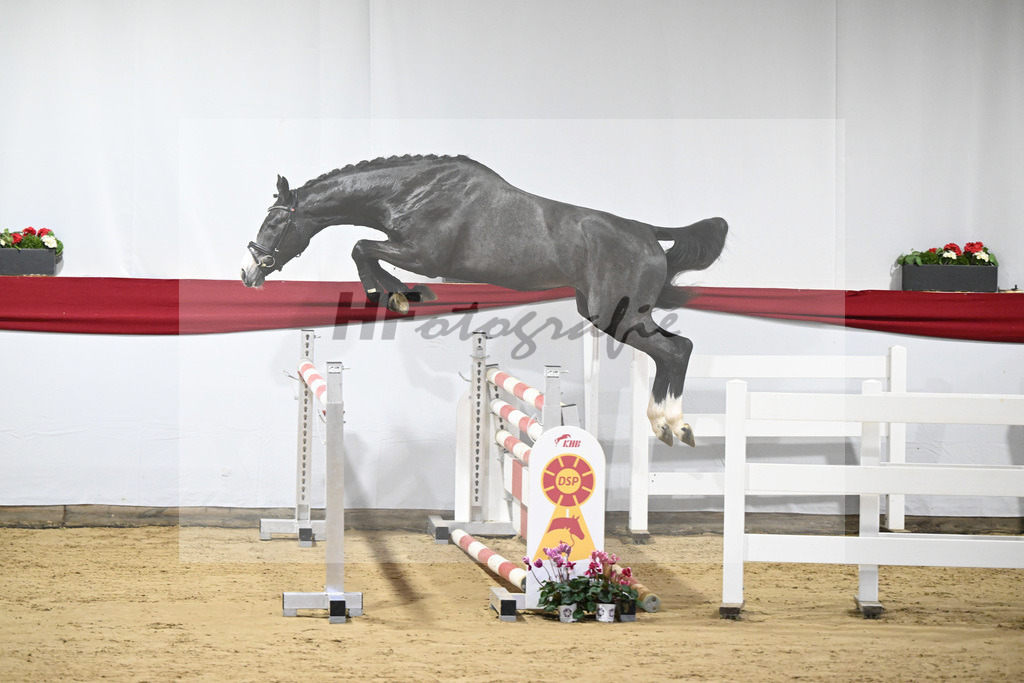 Kat-Nr. 41 v. Asca_Buchele_63221028 | hf-fotografie - Realizzato con Pictrs.com