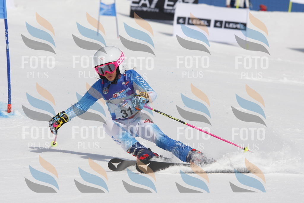 _W1G0422 | holidayphoto