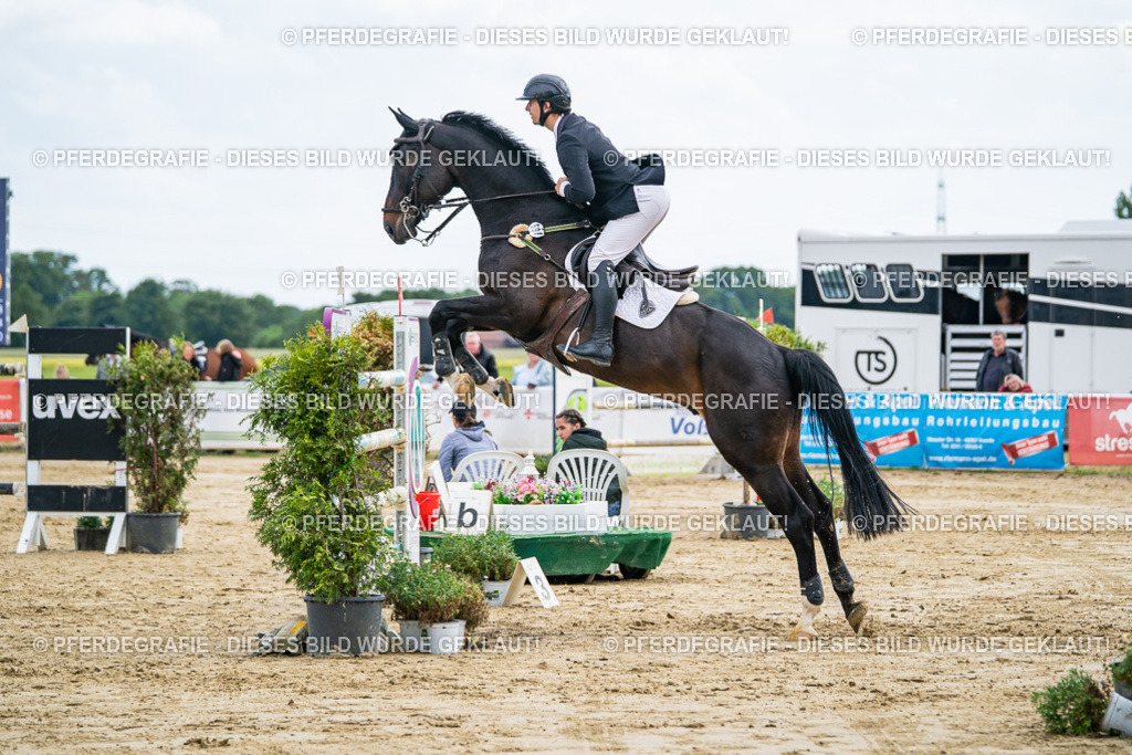 DSC07081 | Pferdegrafie