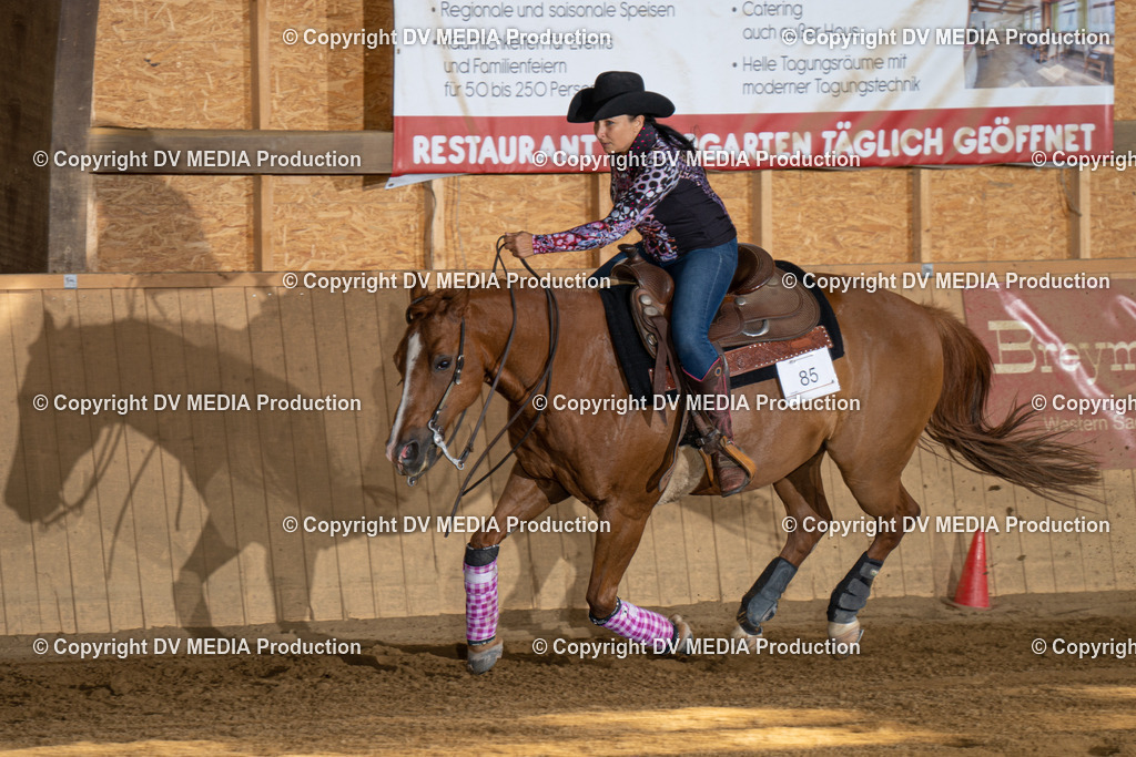 DSC00453 | dv-media-shop - Realisiert mit Pictrs.com