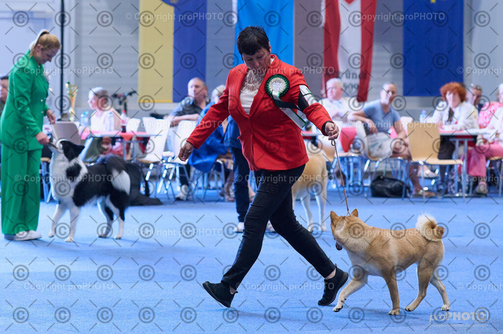 202406_ÖKV-IHA-Tulln24_DSC_3924 | proPHOTO - Realisiert mit Pictrs.com