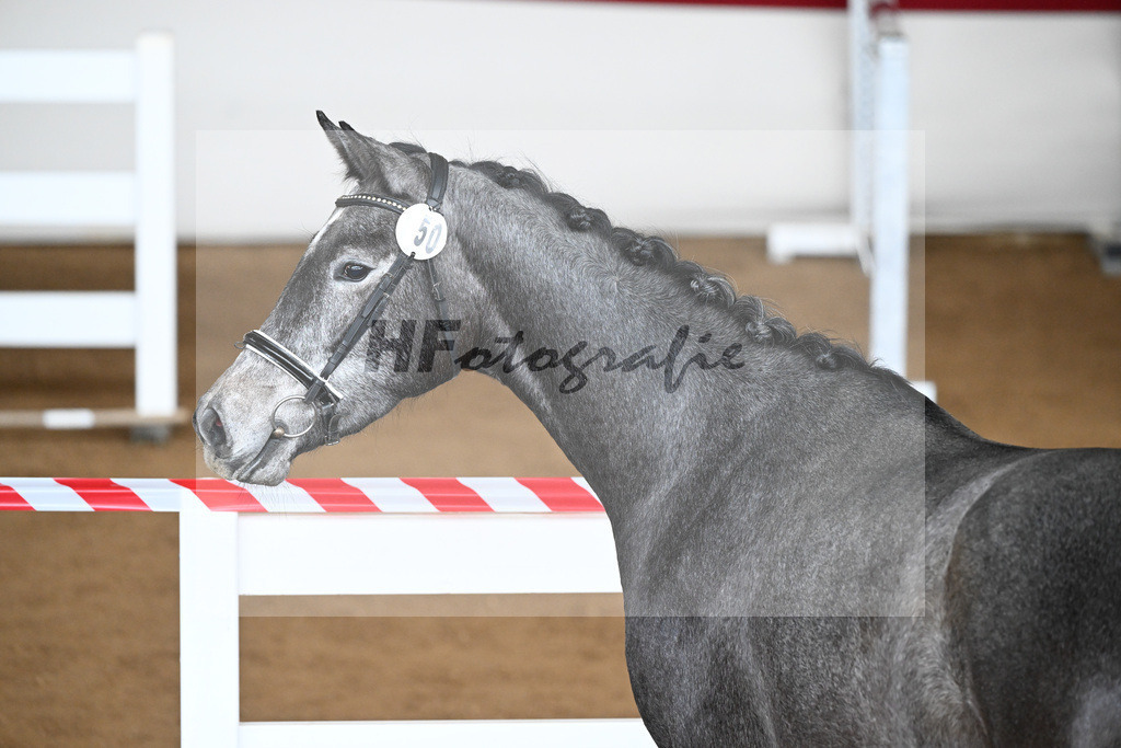 Kat-Nr. 50 Coralee v. Colman_Egetenmeier_9240592 | hf-fotografie - Realizzato con Pictrs.com