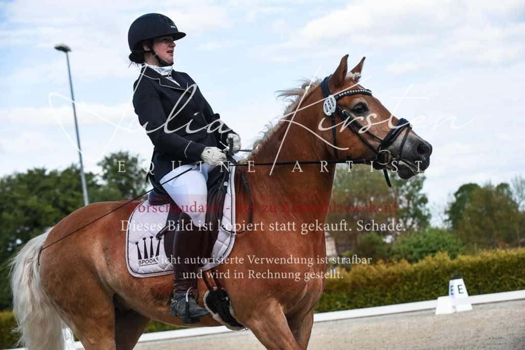 20230518_JK-Röhrsdorf-12-1111 | Pferde- und Turnierfotografie in Westsachsen. Pferdeportraits, Auftragszeichnungen und intuitive Kunst.