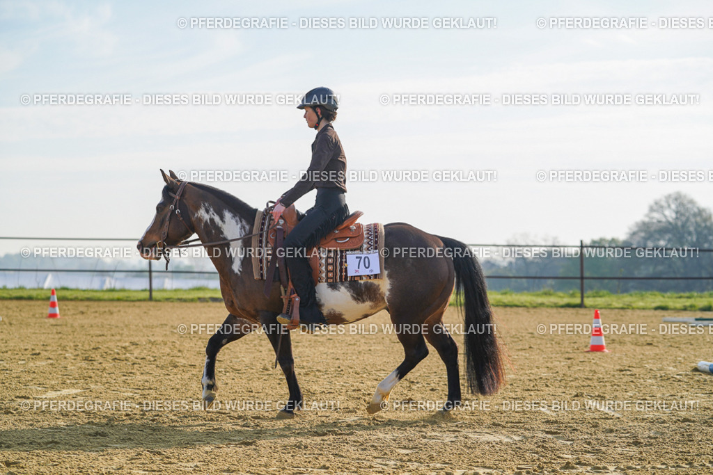 DSC00713 | Pferdegrafie