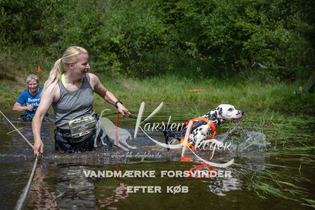 1203DKK991617 | kk-dogfotos