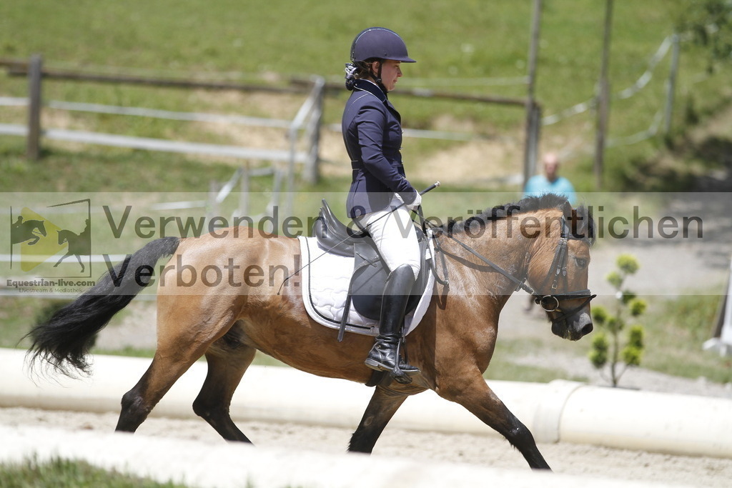 _MG_1033 | equestrian-live-com
