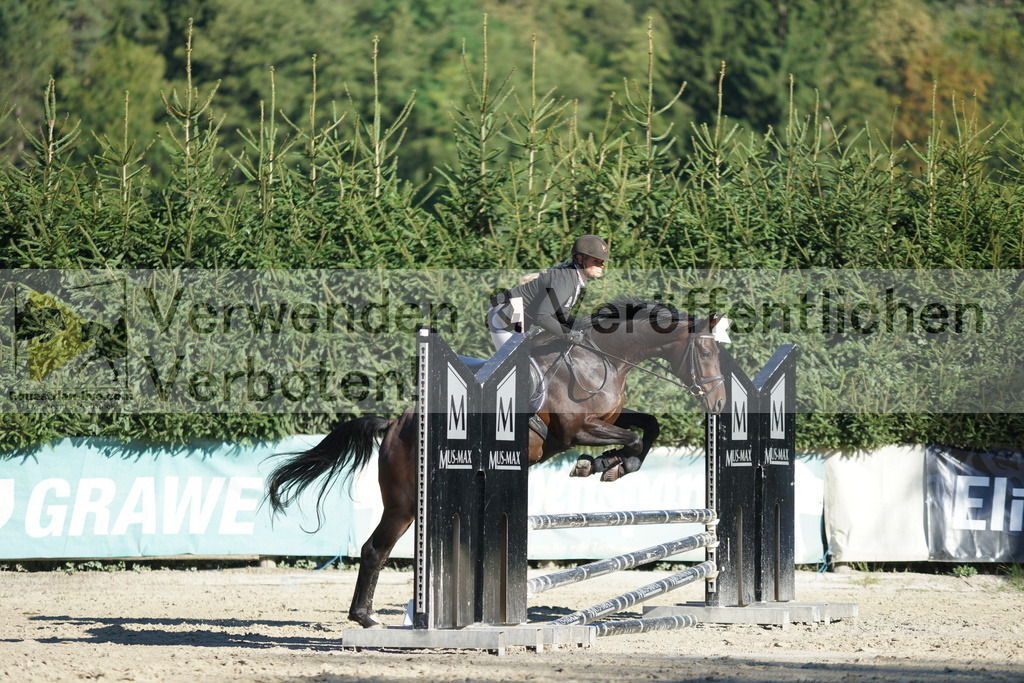 DSC08290 | equestrian-live-com