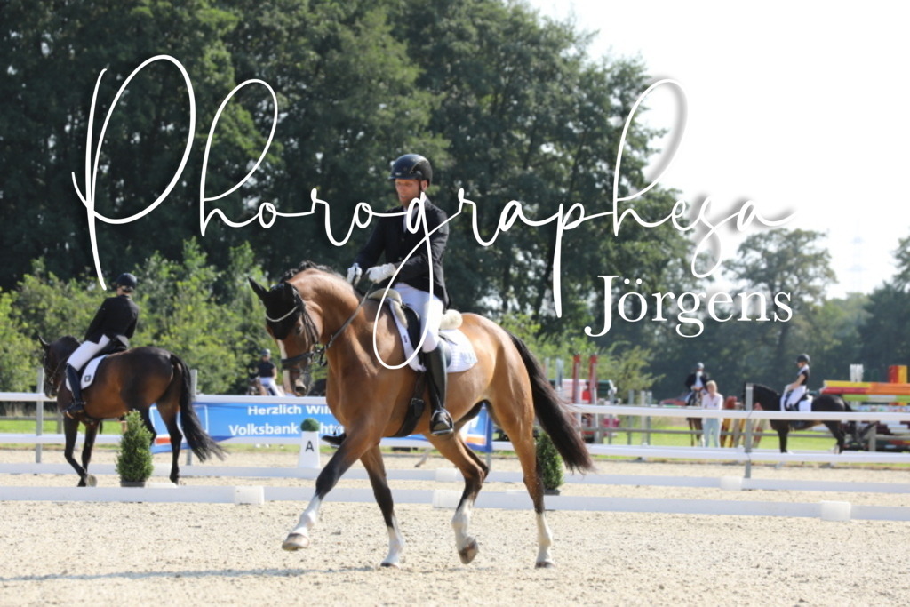 IMG_7507 | photographesa-joergens - Realisiert mit Pictrs.com