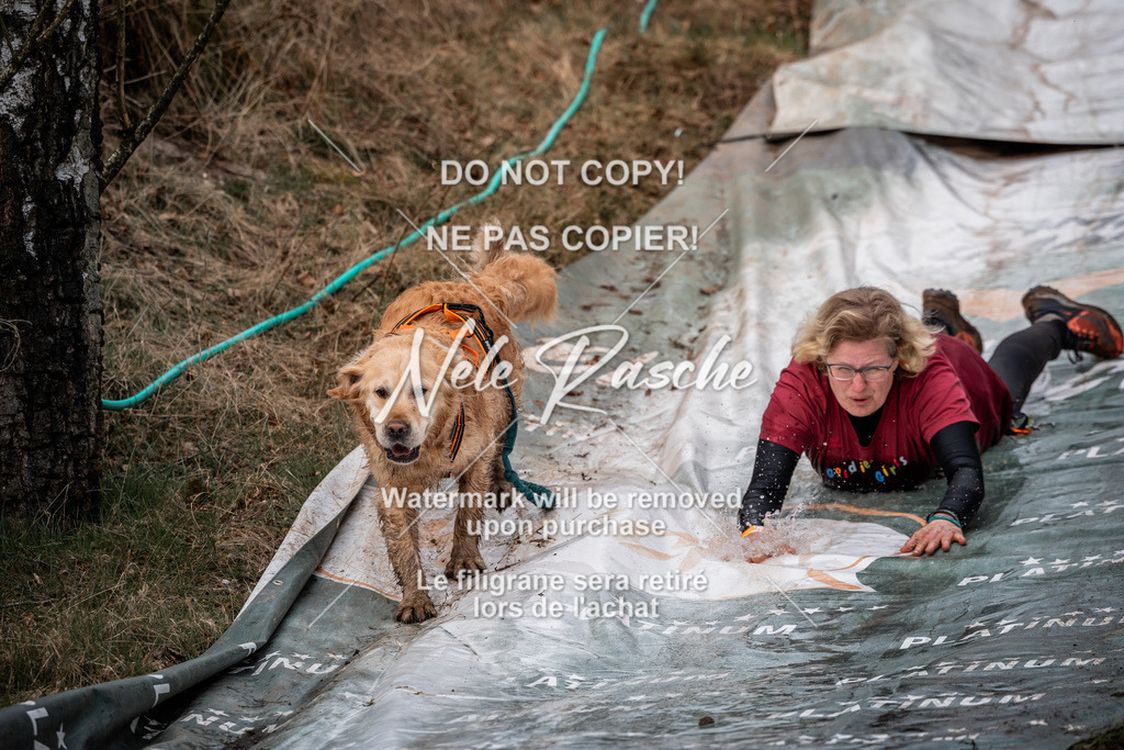 nelerasche_1330-1400_229 | nelerasche