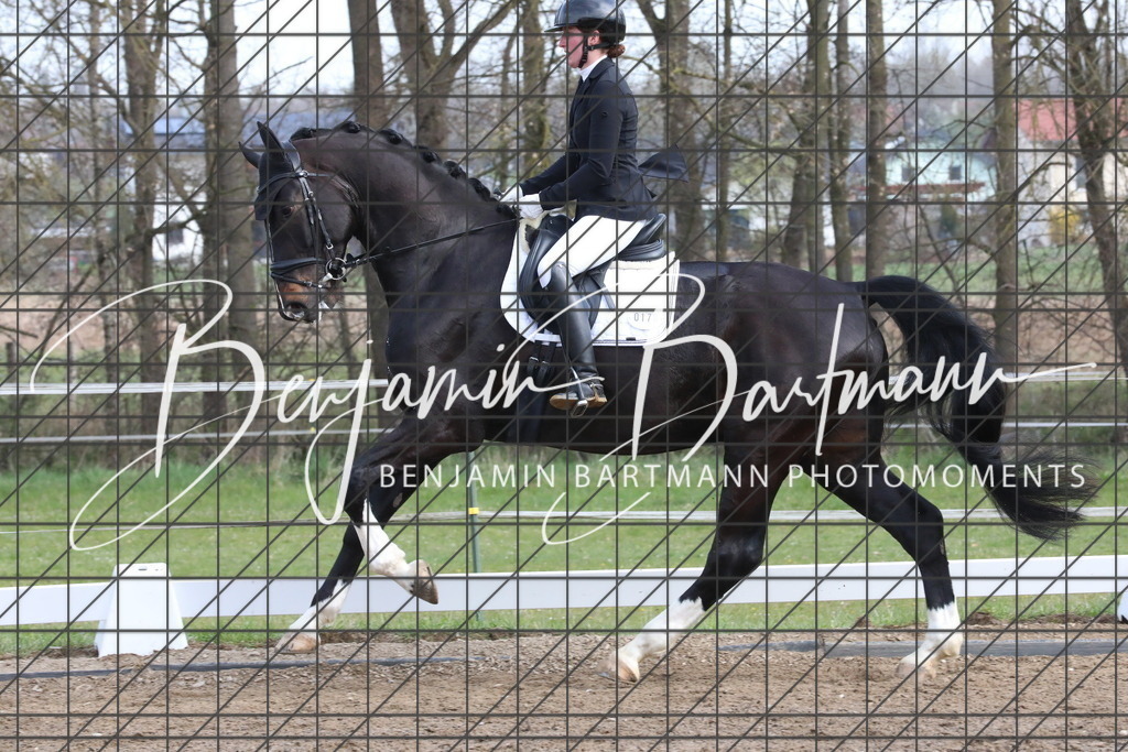 AZ2A6527 | Benjamin Bartmann Photomoments