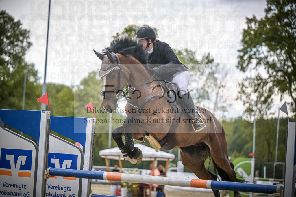 DOS_2117 | Entdecke hochwertige Reitturnierfotos von Foto Oger. Professionell, emotional und authentisch – jetzt Lieblingsmomente im Shop bestellen.Deutschlandweite Turnierfotografie. - Realisiert mit Pictrs.com