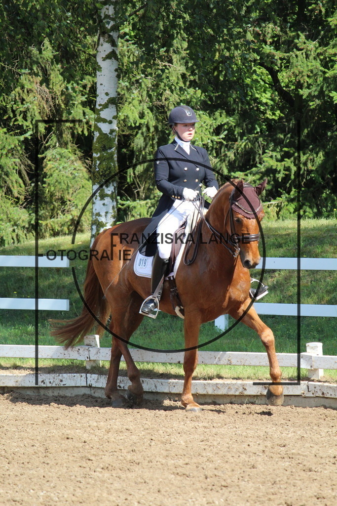 IMG_7011 | franziskalange - Realisiert mit Pictrs.com