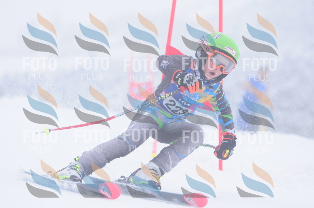 C2361 | holidayphoto