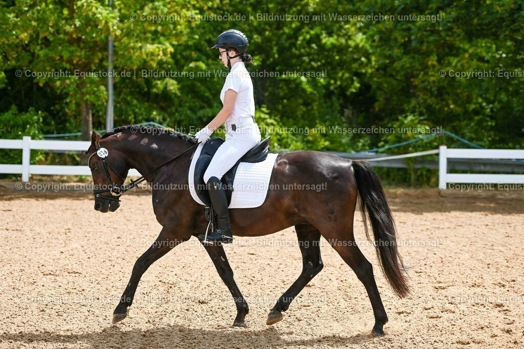 20230715_09_Dressur-WB_0204 | equistock