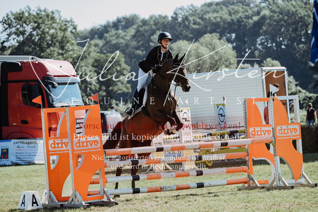 DSC_5578 | Pferde- und Turnierfotografie in Westsachsen. Pferdeportraits, Auftragszeichnungen und intuitive Kunst.