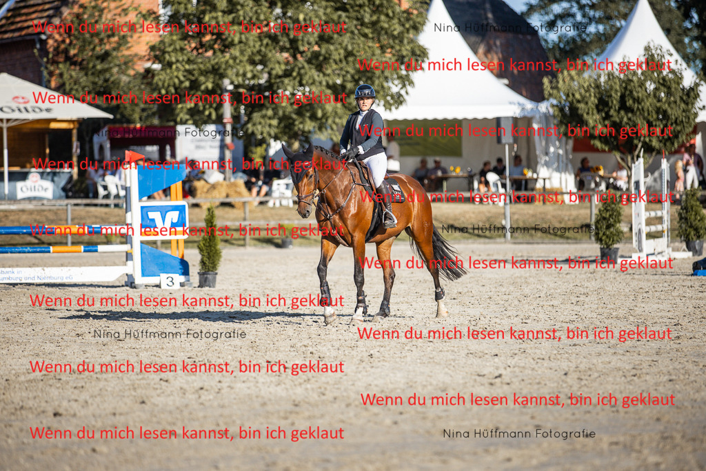 BK1A7827 | Turnierbilder Turnierfotos Nina Hüffmann Turnierfotografie Pferdefotografie Tierzeichnung Haustierzeichnung Pferdezeichnung Hundezeichnung Videograf  - Realisiert mit Pictrs.com