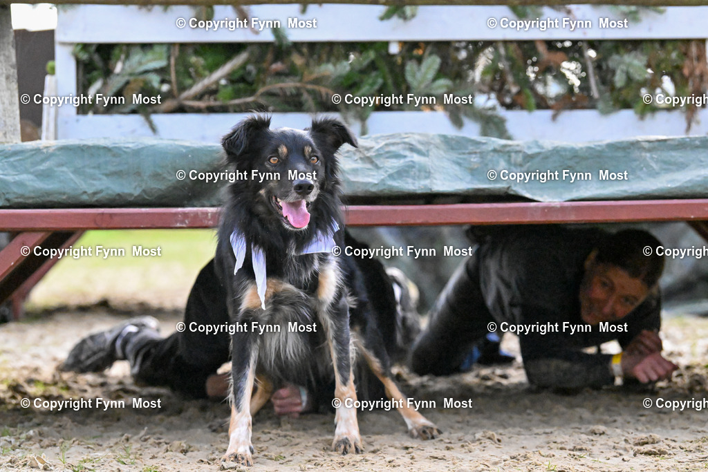 DSC_5600 | Hallo und herzlich Willkommen auf meiner Shop-Seite Fynn Most.

Ich wünsche Dir viel Spaß beim stöbern durch die Bilder, wenn Du Fragen hast oder Bilder vermisst, kannst du mir gerne eine Nachricht schreiben. - Realisiert mit Pictrs.com