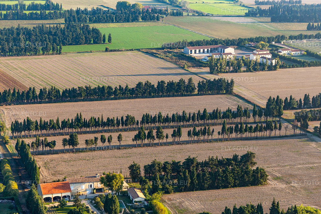 Vue aérienne: Des rangées d'arbres servent de brise-vent contre le mistral en bordure d'un champ à Saint-Étienne-du-Gres. à Saint-Étienne-du-Grès dans le département Bouches du Rhône, France. Photo: IMG_129581.jpg prise le 23/09/2021 par Werner Riehm/FLY-FOTO.euRésolution de l'original: 5472 x 3648 px