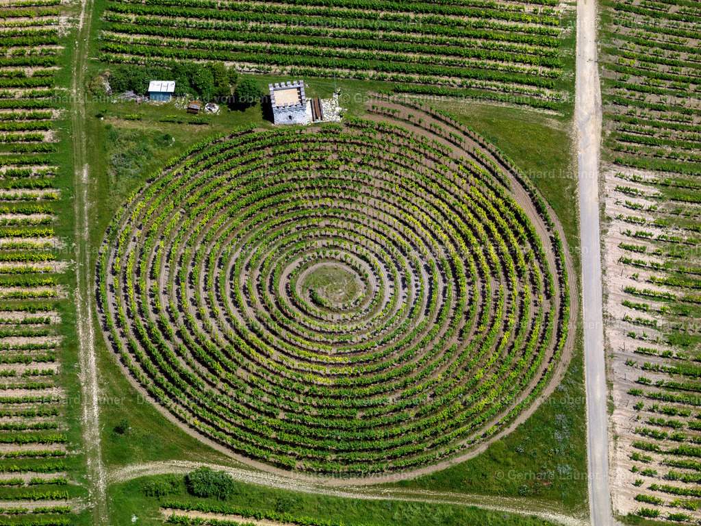 2822462 | kreisrunder Weinberg bei Zellertal-Marxheim