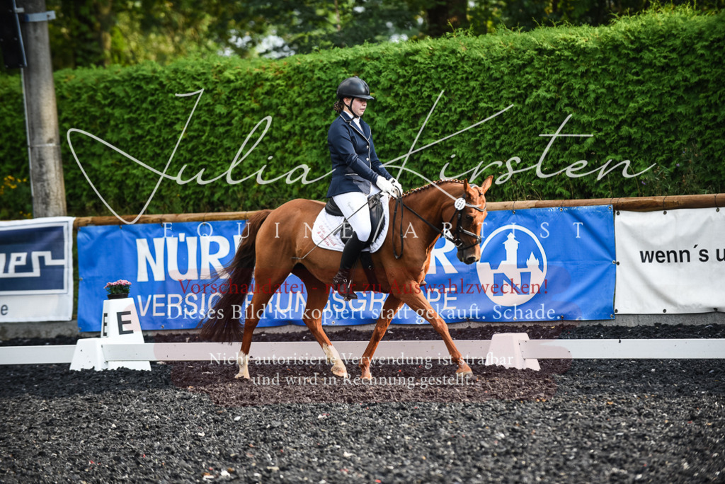 DSC_3443 | Pferde- und Turnierfotografie in Westsachsen. Pferdeportraits, Auftragszeichnungen und intuitive Kunst.