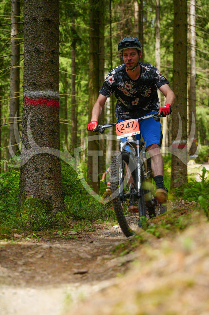 FC603786 | Fotogalerie der Treibjagd im Dunkelwald - Dein MTB Etappenrennen im Erzgebirge - Realisiert mit Pictrs.com