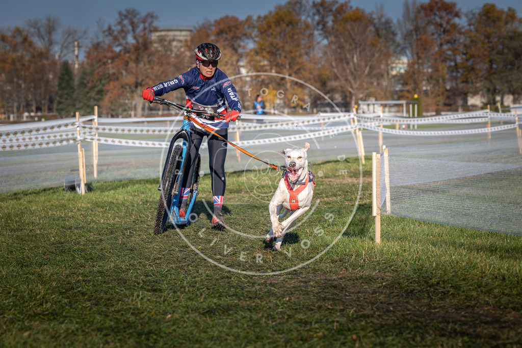 CaniXpix_0L8A4118 | Hundefotografie, Tierfotograf, Pfotenfotografie, Fotoshooting Hund, Hunde Portrait, Hundesport, Hundeportraits, Heideshooting, Hunde, Sportfotograf, Hundefotograf, Turnierhundsport, THS,  - Realisiert mit Pictrs.com