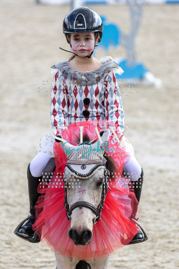 IMG_2385 | s-jay-photography - Realisiert mit Pictrs.com