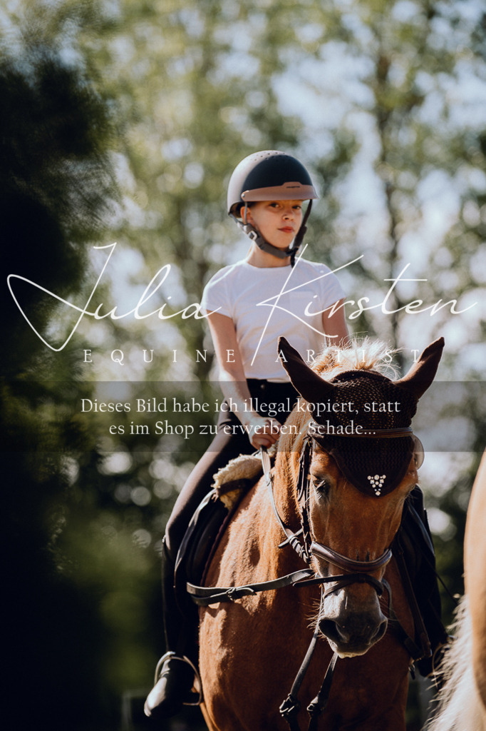 DSC_7243 | Pferde- und Turnierfotografie in Westsachsen. Pferdeportraits, Auftragszeichnungen und intuitive Kunst.