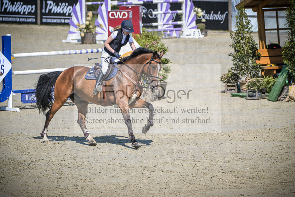 DOS_1988 | Entdecke hochwertige Reitturnierfotos von Foto Oger. Professionell, emotional und authentisch – jetzt Lieblingsmomente im Shop bestellen.Deutschlandweite Turnierfotografie. - Realisiert mit Pictrs.com