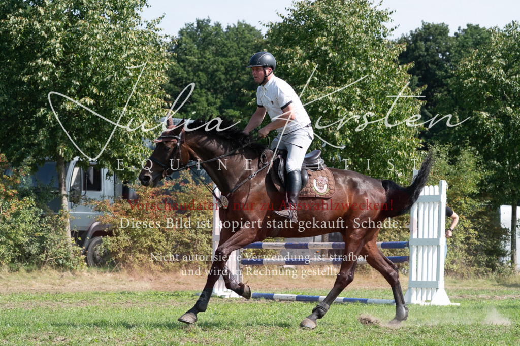 DSC_0860 | Pferde- und Turnierfotografie in Westsachsen. Pferdeportraits, Auftragszeichnungen und intuitive Kunst.