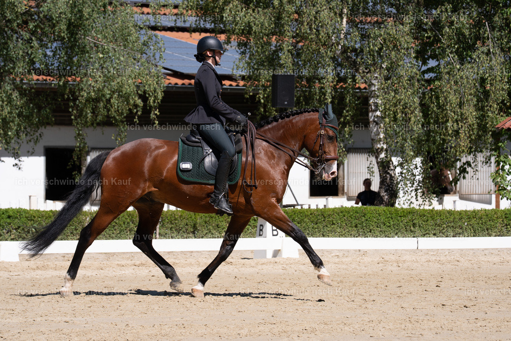 __105_sinafilmart_IN07977 | working equitationturnier fotograf videograf stoibphotography marixx film working equitation deutschland reitsport turnierfotografie eventfotografie equestrian events