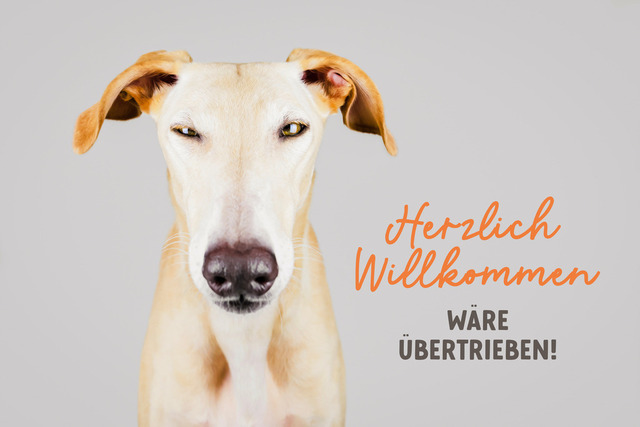 Ori heißt dich nicht Willkommen | Herzlich Willkommen wäre übertrieben!