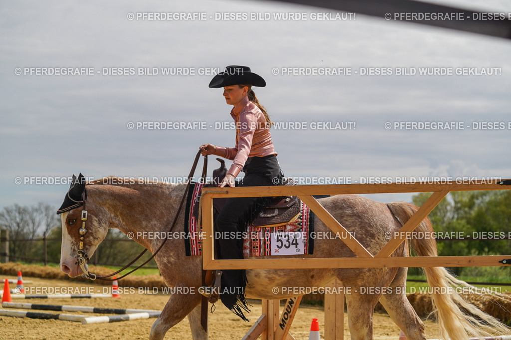 DSC04090 | Pferdegrafie