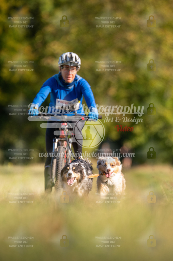 CDLBDB_15_10_2023_Dimanche-349 | mompixphotography