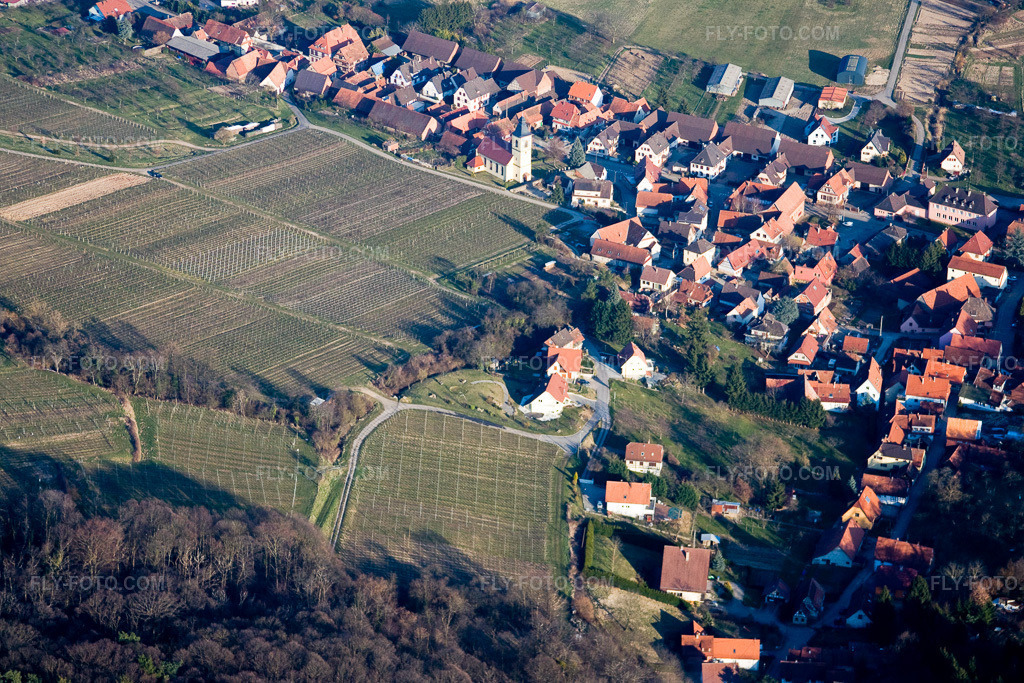 Aerial view: View of the town in Rott in the state Bas-Rhin, France.Photo: IMG_17483.jpg taken on 03/21/2009 by Werner Riehm/FLY-FOTO.comResolution of the original: 4120 x 2747 px